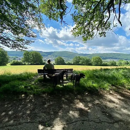 Get-your-flat - Wohnen Im Eulenturm Tiny Owl-house - Naturnah & Einzigartig - 60 M2 - Haustier Auf Anfrage Og1 Appartement Hagen (Arnsberg)